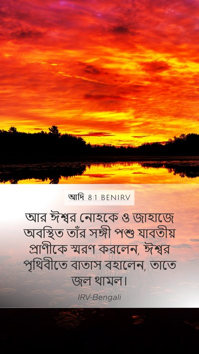 আদি 8:1 BENIRV Bible Verse Image