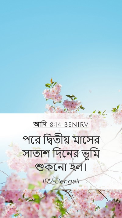 আদি 8:14 BENIRV Mobile Phone Wallpaper - পরে দ্বিতীয় - Mobile Bible Verse Wallpaper