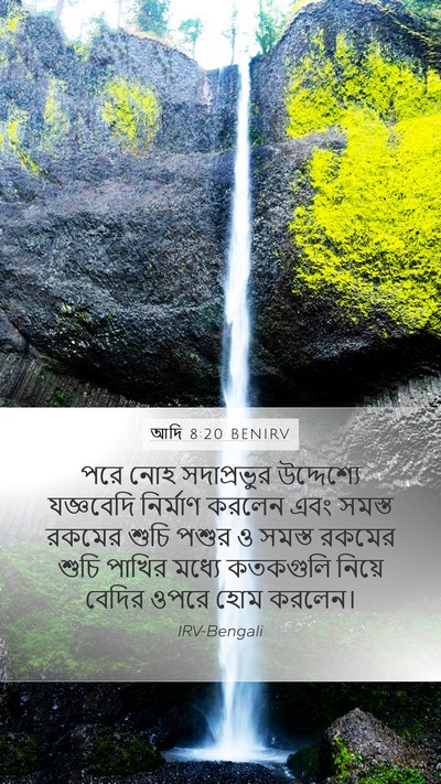 আদি 8:20 BENIRV Bible Verse Image