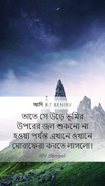 আদি 8:7 BENIRV Mobile Phone Wallpaper - তাতে সে উড়ে ভূমির - Mobile Bible Verse Wallpaper