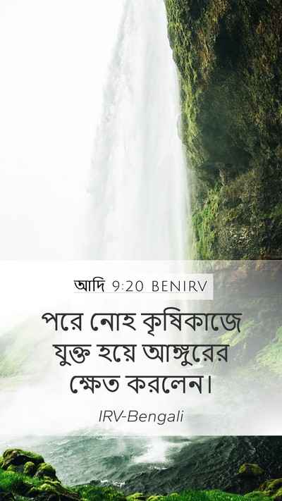 আদি 9:20 BENIRV Bible Verse Image