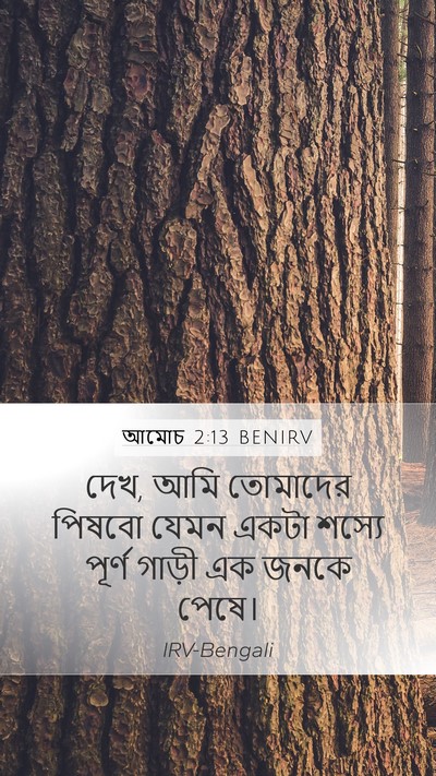 আমোচ 2:13 BENIRV Mobile Phone Wallpaper - দেখ, আমি তোমাদের - Mobile Bible Verse Wallpaper