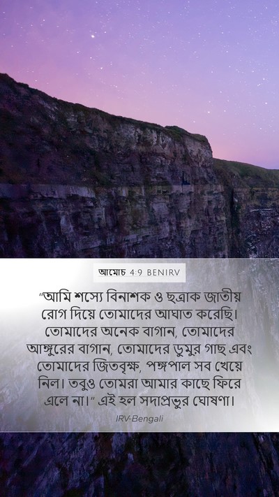 আমোচ 4:9 BENIRV Bible Verse Image