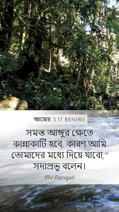 আমোচ 5:17 BENIRV Mobile Phone Wallpaper - সমস্ত আঙ্গুর - Mobile Bible Verse Wallpaper