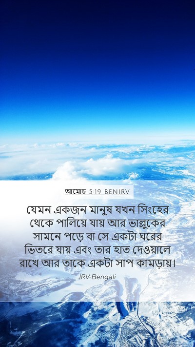 আমোচ 5:19 BENIRV Bible Verse Image