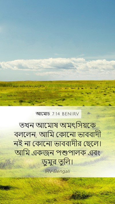 আমোচ 7:14 BENIRV Bible Verse Image