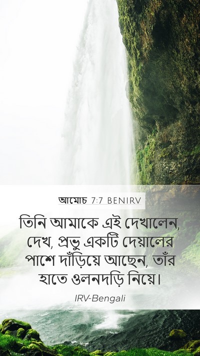 আমোচ 7:7 BENIRV Bible Verse Image