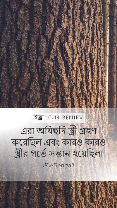 ইজ্ৰা 10:44 BENIRV Bible Verse Image