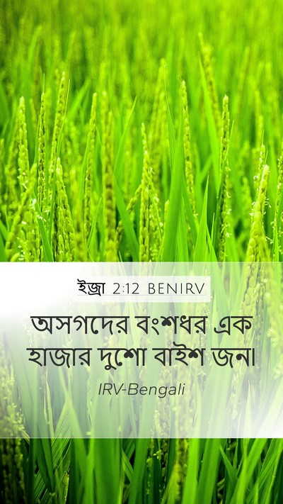 ইজ্ৰা 2:12 BENIRV Bible Verse Image