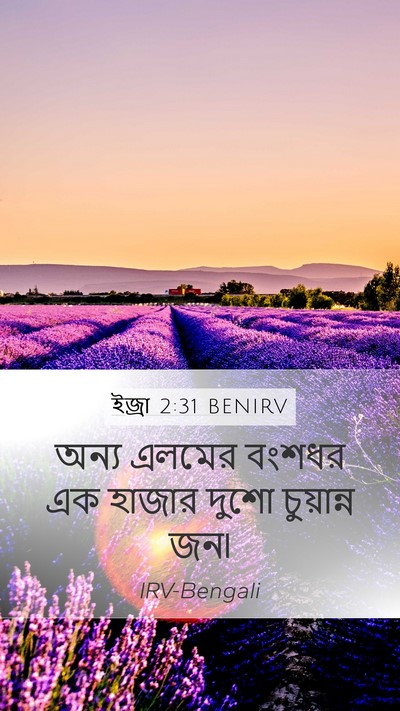 ইজ্ৰা 2:31 BENIRV Bible Verse Image