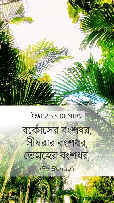 ইজ্ৰা 2:53 BENIRV Bible Verse Image