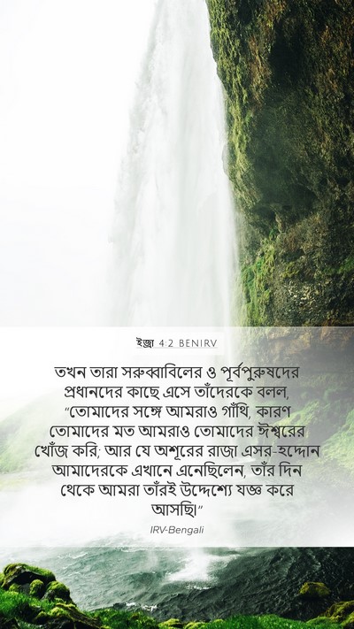 ইজ্ৰা 4:2 BENIRV Bible Verse Image