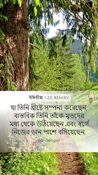 ইফিচীয়া 1:20 BENIRV Bible Verse Image