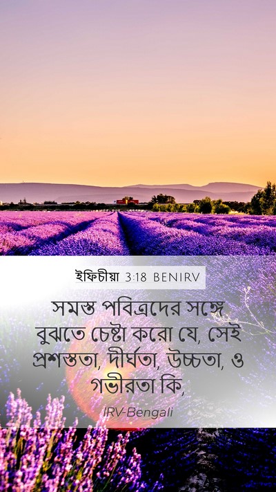 ইফিচীয়া 3:18 BENIRV Bible Verse Image