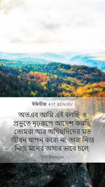 ইফিচীয়া 4:17 BENIRV Bible Verse Image