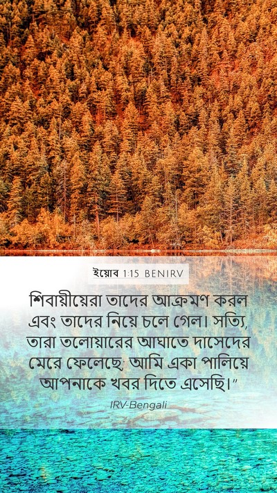 ইয়োব 1:15 BENIRV Bible Verse Image