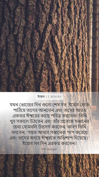 ইয়োব 1:5 BENIRV Bible Verse Image
