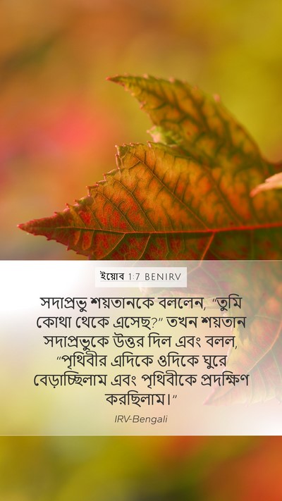 ইয়োব 1:7 BENIRV Bible Verse Image