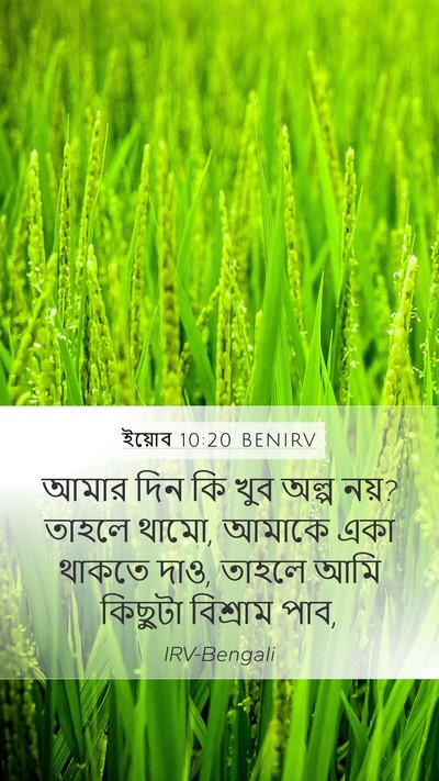 ইয়োব 10:20 BENIRV Bible Verse Image