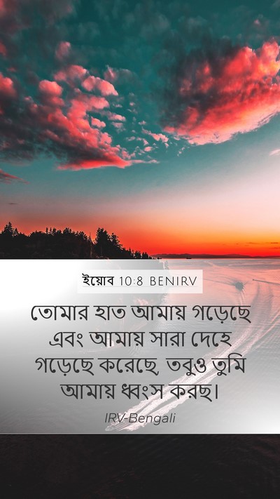 ইয়োব 10:8 BENIRV Bible Verse Image