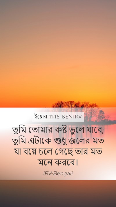 ইয়োব 11:16 BENIRV Mobile Phone Wallpaper - তুমি তোমার কষ্ট - Mobile Bible Verse Wallpaper