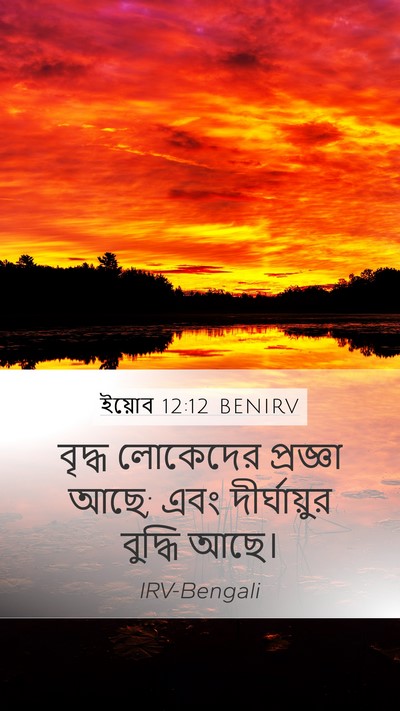 ইয়োব 12:12 BENIRV Bible Verse Image