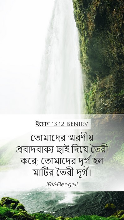 ইয়োব 13:12 BENIRV Bible Verse Image