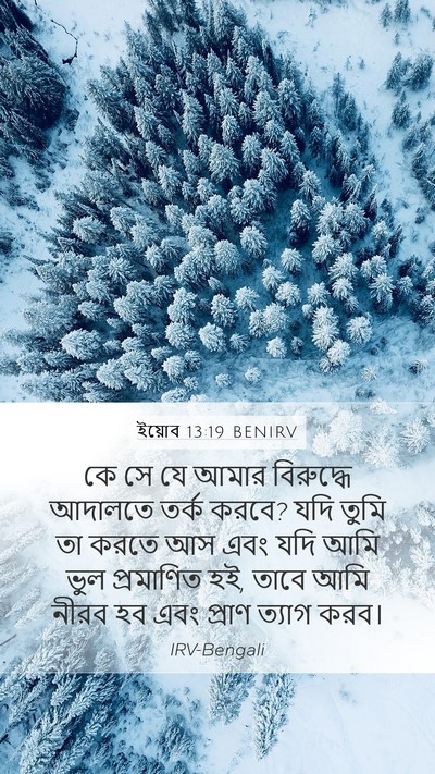ইয়োব 13:19 BENIRV Bible Verse Image
