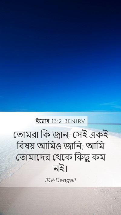 ইয়োব 13:2 BENIRV Bible Verse Image