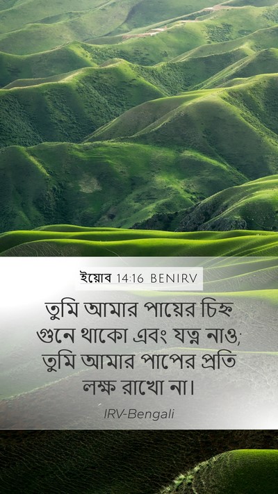 ইয়োব 14:16 BENIRV Bible Verse Image