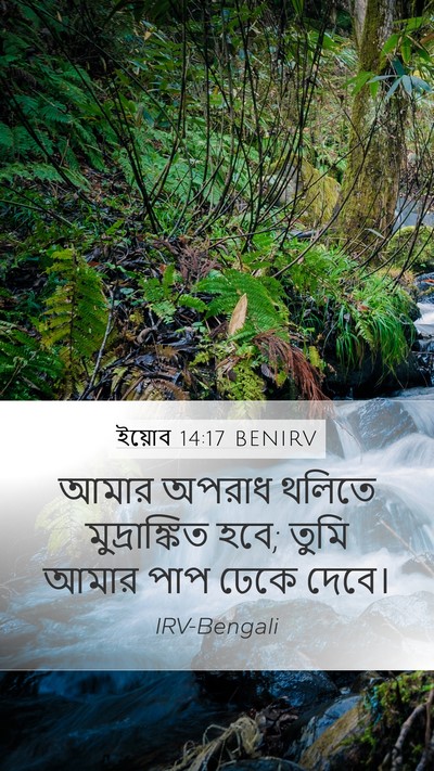 ইয়োব 14:17 BENIRV Bible Verse Image