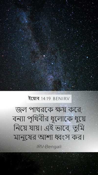 ইয়োব 14:19 BENIRV Bible Verse Image
