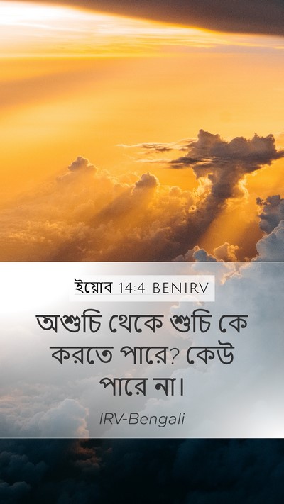 ইয়োব 14:4 BENIRV Bible Verse Image