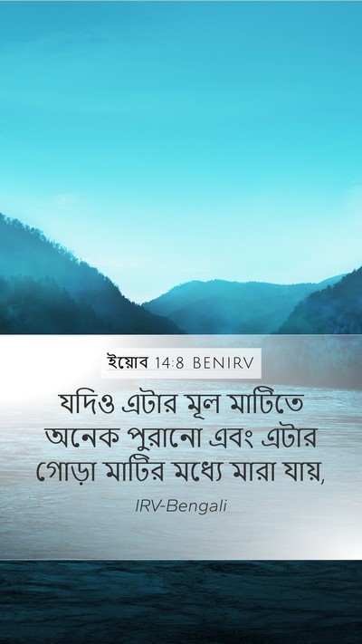 ইয়োব 14:8 BENIRV Mobile Phone Wallpaper - যদিও এটার মূল - Mobile Bible Verse Wallpaper