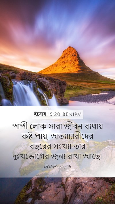 ইয়োব 15:20 BENIRV Bible Verse Image