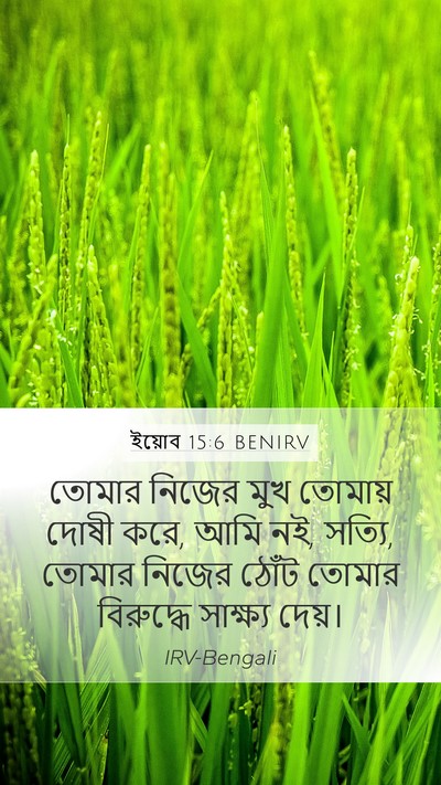 ইয়োব 15:6 BENIRV Bible Verse Image