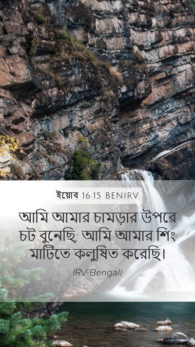 ইয়োব 16:15 BENIRV Bible Verse Image