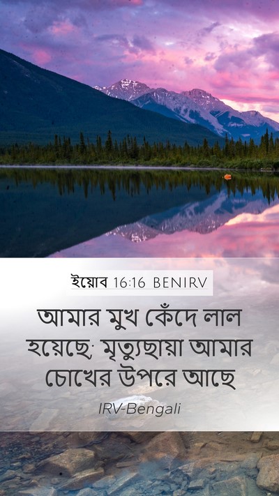 ইয়োব 16:16 BENIRV Bible Verse Image