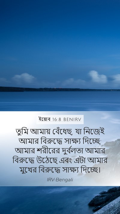 ইয়োব 16:8 BENIRV Bible Verse Image