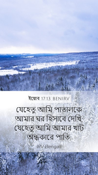 ইয়োব 17:13 BENIRV Bible Verse Image