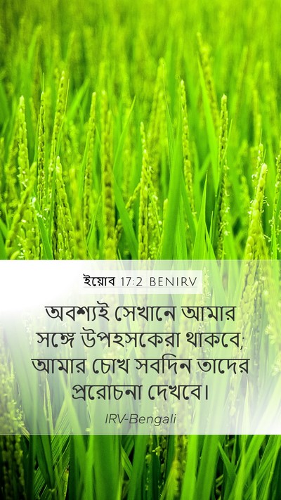 ইয়োব 17:2 BENIRV Bible Verse Image