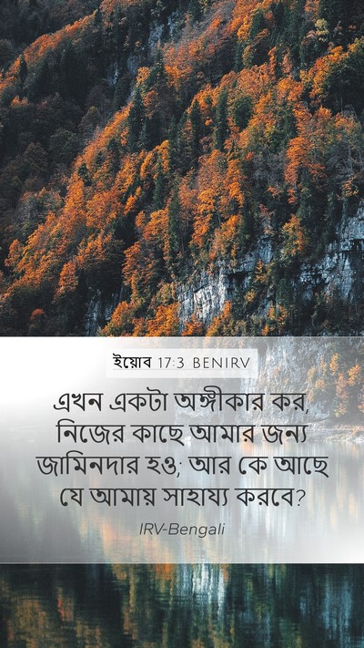 ইয়োব 17:3 BENIRV Bible Verse Image