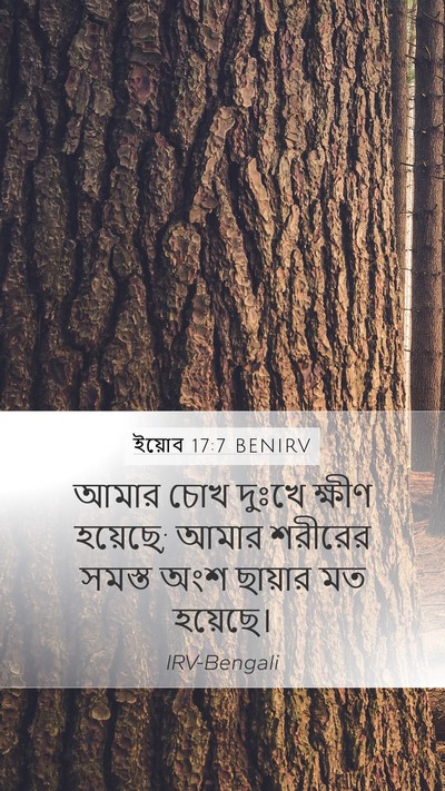 ইয়োব 17:7 BENIRV Bible Verse Image