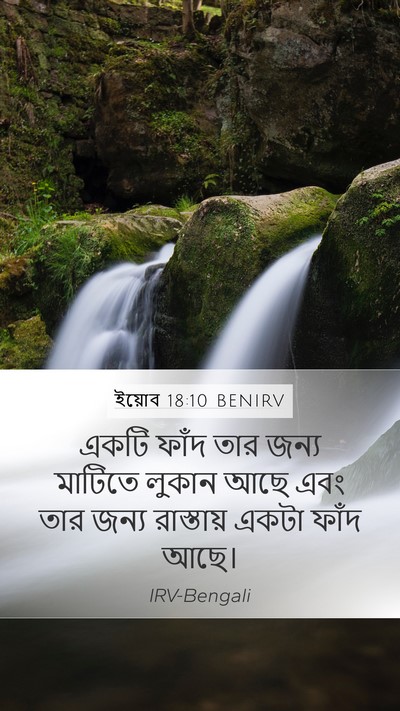 ইয়োব 18:10 BENIRV Mobile Phone Wallpaper - একটি ফাঁদ তার জন্য - Mobile Bible Verse Wallpaper