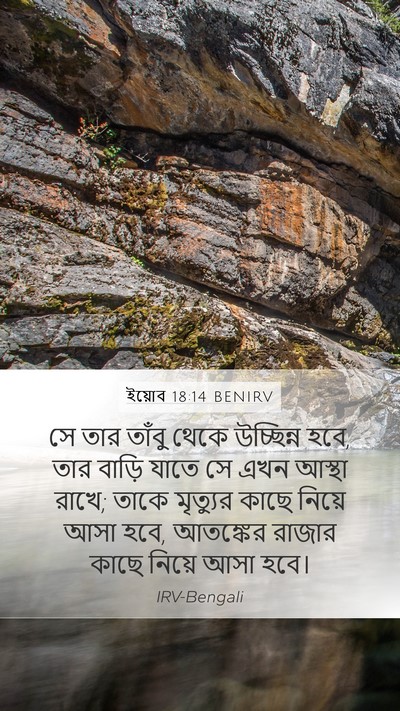 ইয়োব 18:14 BENIRV Bible Verse Image