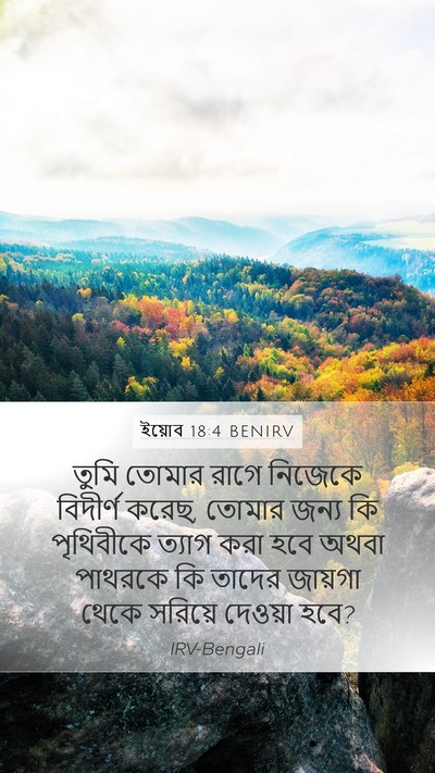 ইয়োব 18:4 BENIRV Bible Verse Image