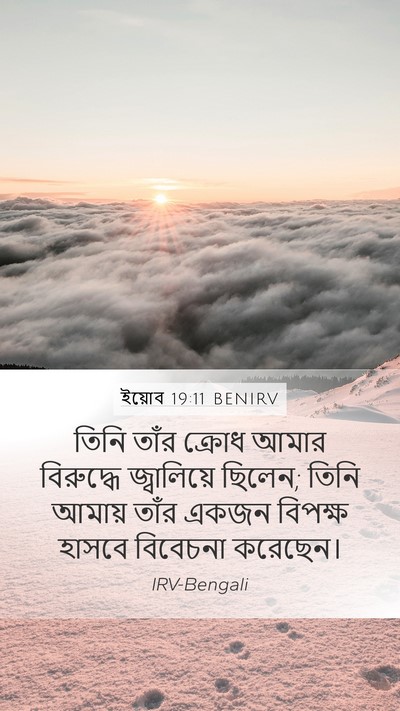 ইয়োব 19:11 BENIRV Bible Verse Image
