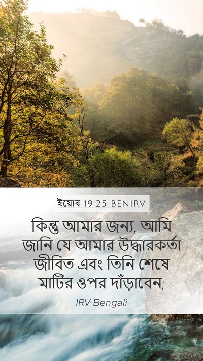 ইয়োব 19:25 BENIRV Bible Verse Image