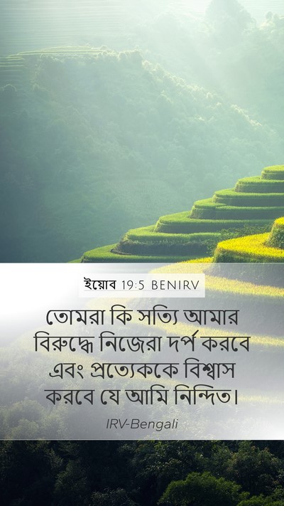 ইয়োব 19:5 BENIRV Bible Verse Image