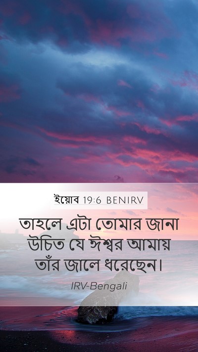 ইয়োব 19:6 BENIRV Bible Verse Image